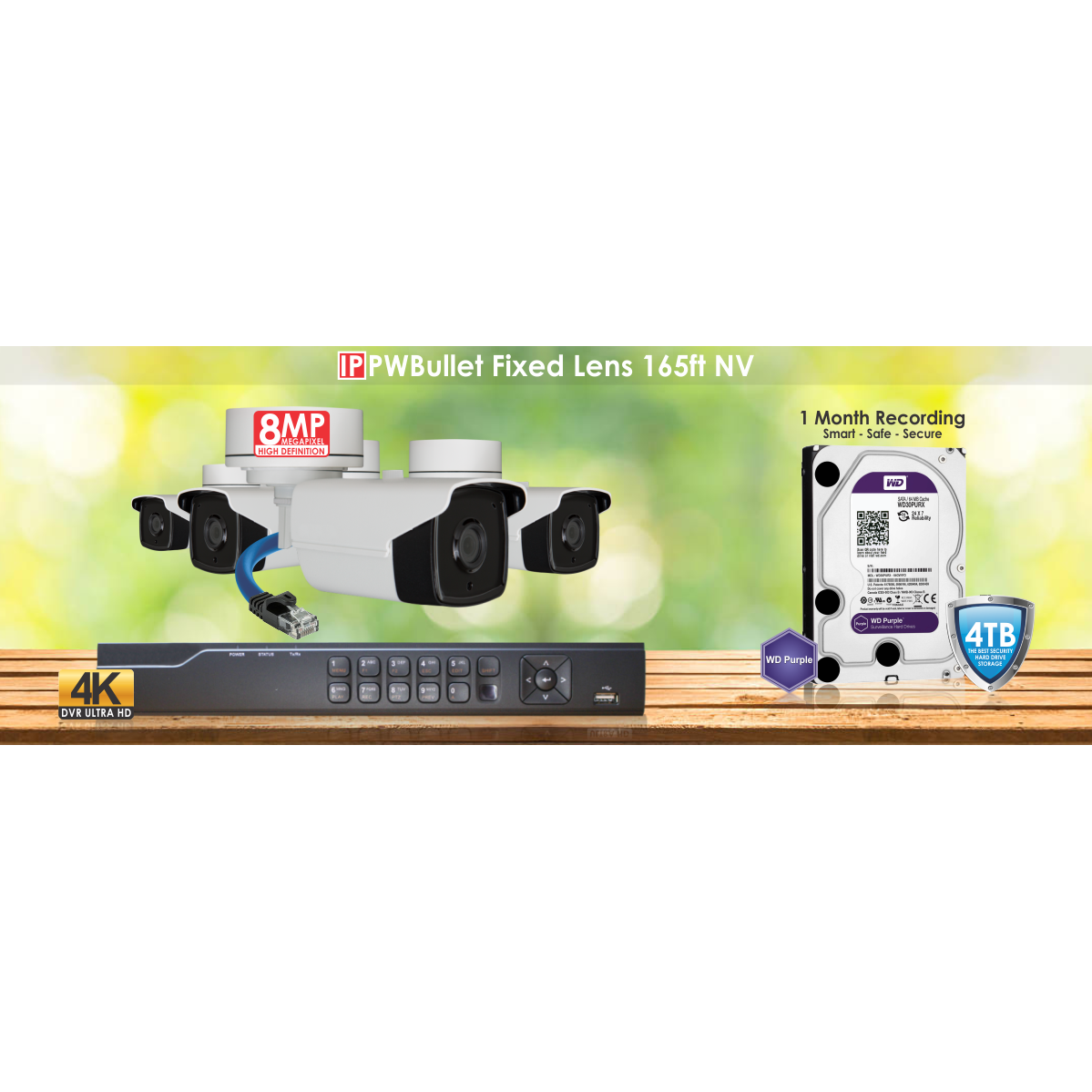 IP PW Bullet Fixed Lens 165ft NV