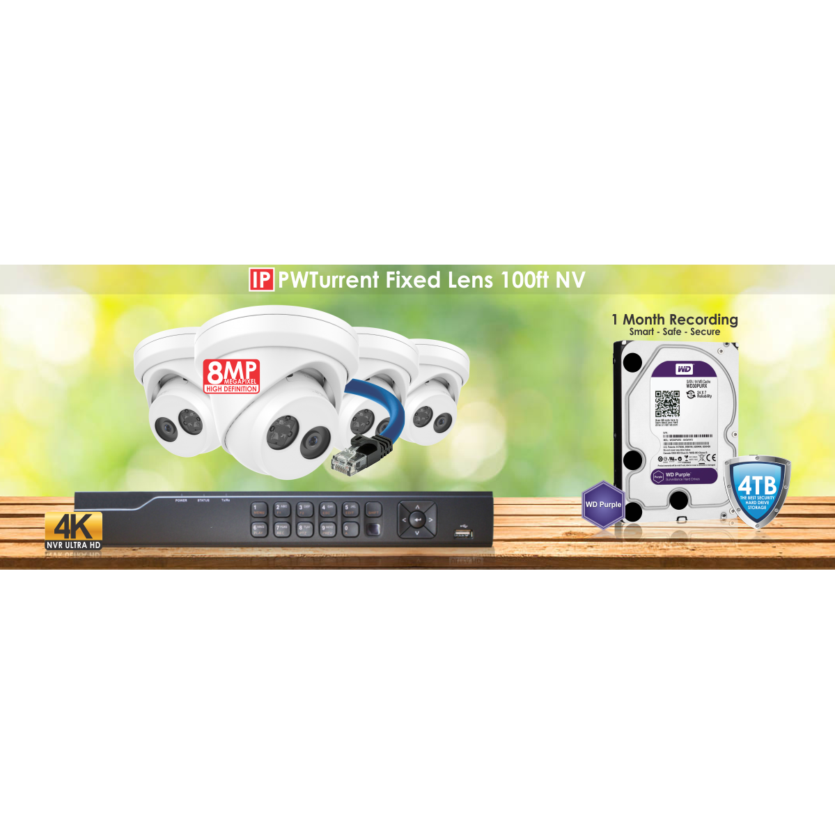 IP PW Turrent Fixed Lens 100 ft NV